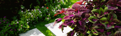 QQ截圖20181017092648.png QQ截圖20181017092648.png