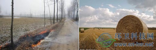 目前,我國各類秸稈年產量約為10億噸