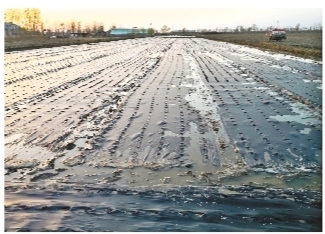 1598406107745627.jpg 4.jpg